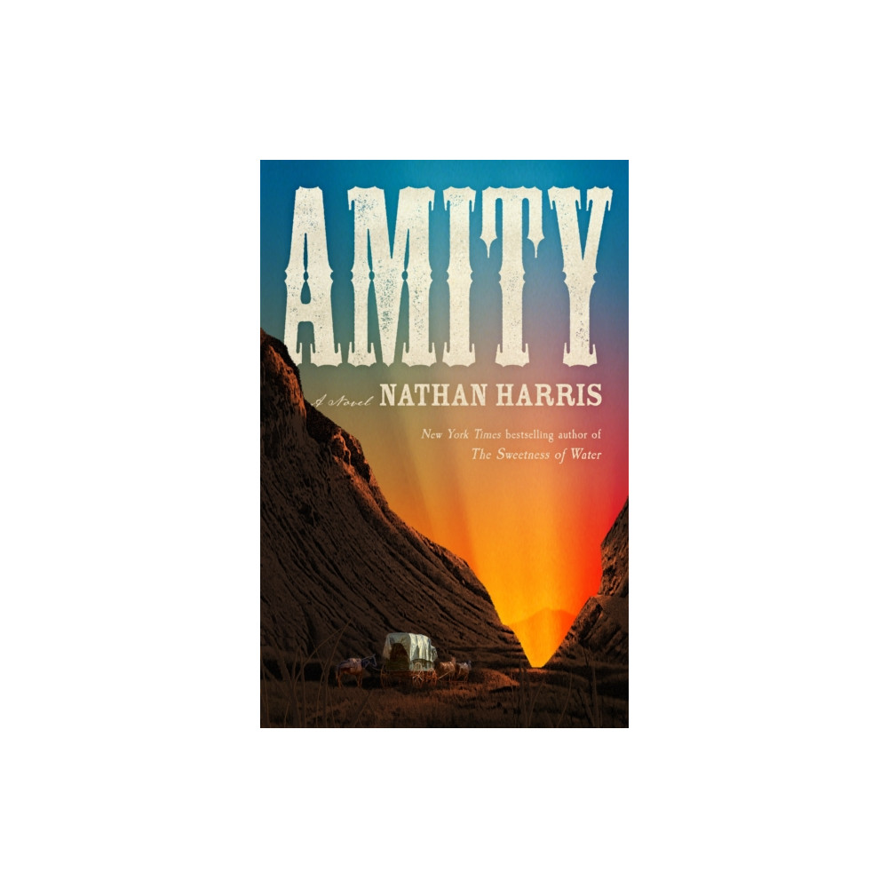 Produktbild för Amity (häftad, eng)