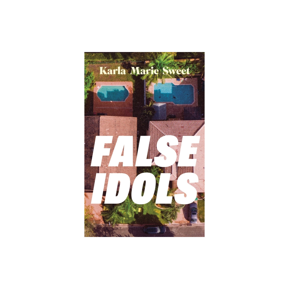 Produktbild för False Idols (inbunden, eng)