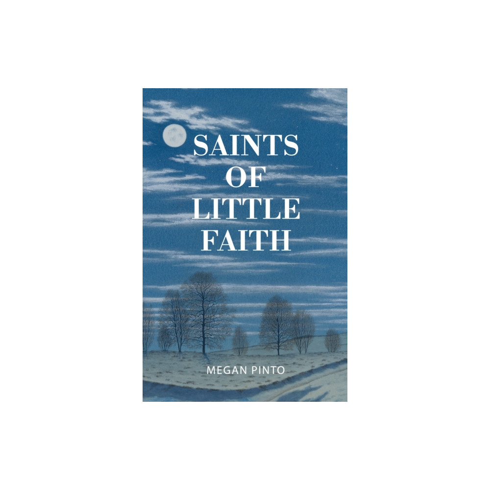 Produktbild för Saints of Little Faith (häftad, eng)