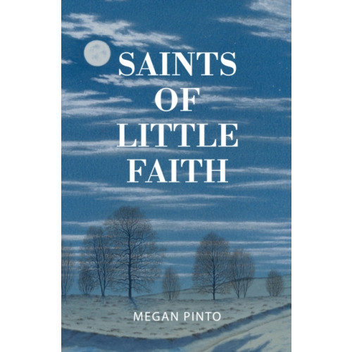 The 87 Press Saints of Little Faith (häftad, eng)