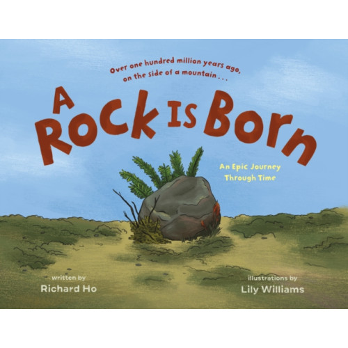 Roaring Brook Press A Rock Is Born (inbunden, eng)