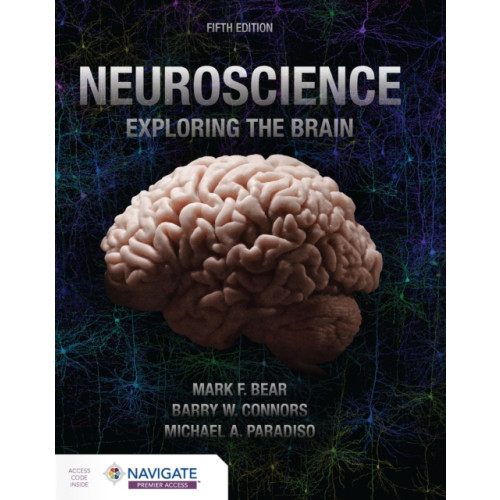 Jones and Bartlett Publishers, Inc Neuroscience: Exploring the Brain (häftad, eng)