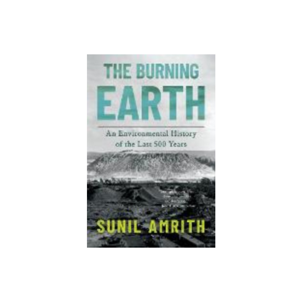 Produktbild för Burning Earth (häftad, eng)