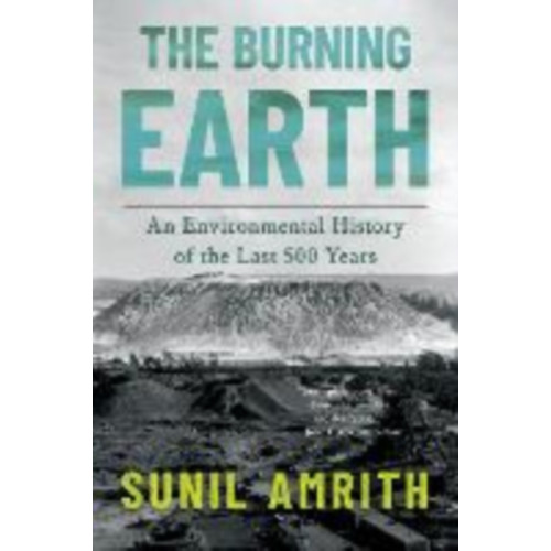 W. W. Norton & Company Burning Earth (häftad, eng)