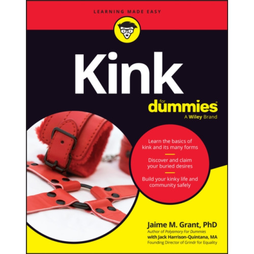 John Wiley & Sons Inc Kink For Dummies (häftad, eng)