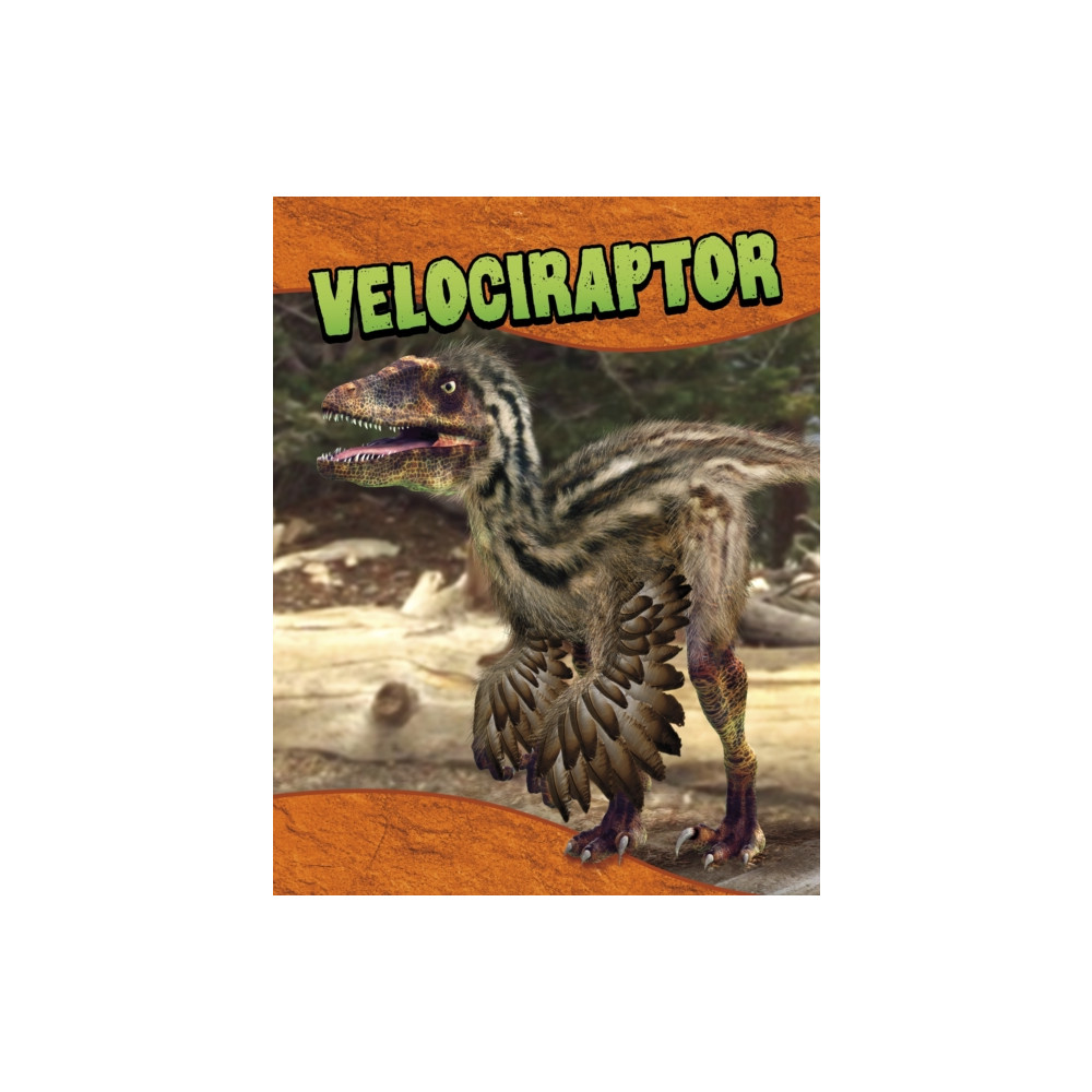 Produktbild för Velociraptor (inbunden, eng)