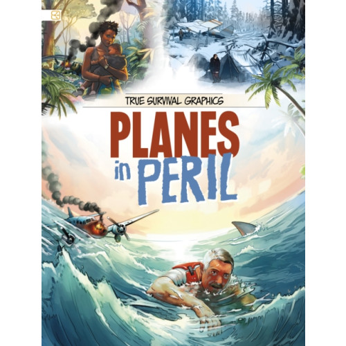 Capstone Global Library Ltd Planes in Peril (häftad, eng)