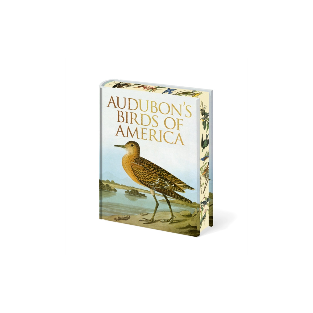 Produktbild för Audubon's Birds of America (inbunden, eng)