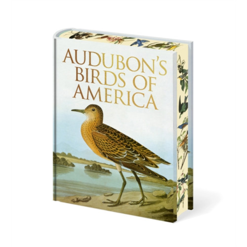 Arcturus publishing ltd Audubon's Birds of America (inbunden, eng)