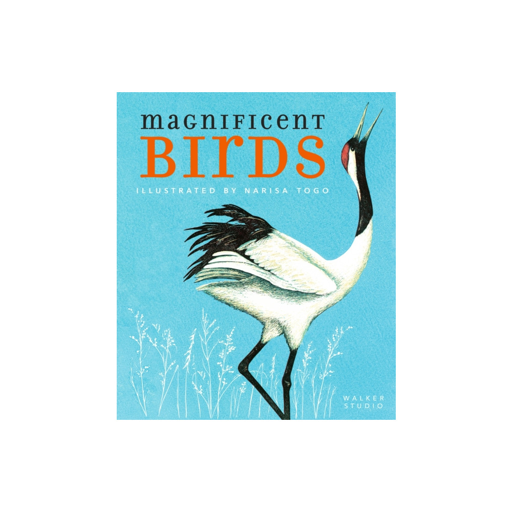Produktbild för Magnificent Birds (häftad, eng)