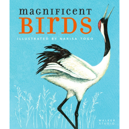 Walker Books Ltd Magnificent Birds (häftad, eng)