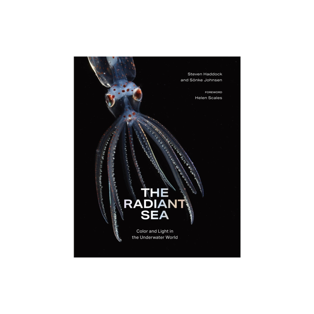Produktbild för The Radiant Sea (inbunden, eng)