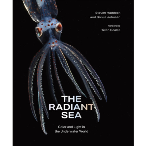 Abrams The Radiant Sea (inbunden, eng)