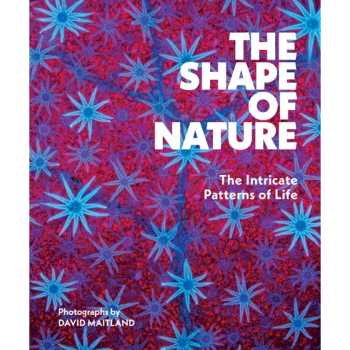 Abrams The Shape of Nature (inbunden, eng)