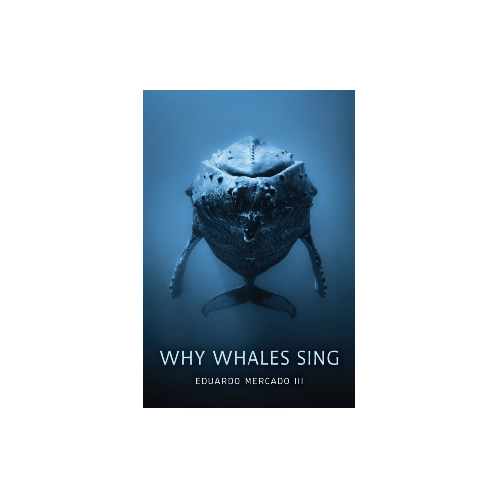 Produktbild för Why Whales Sing (inbunden, eng)