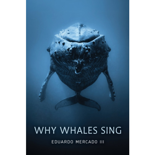 Johns Hopkins University Press Why Whales Sing (inbunden, eng)