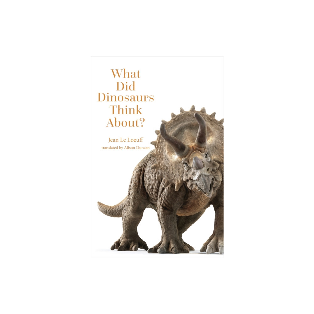 Produktbild för What Did Dinosaurs Think About? (häftad, eng)