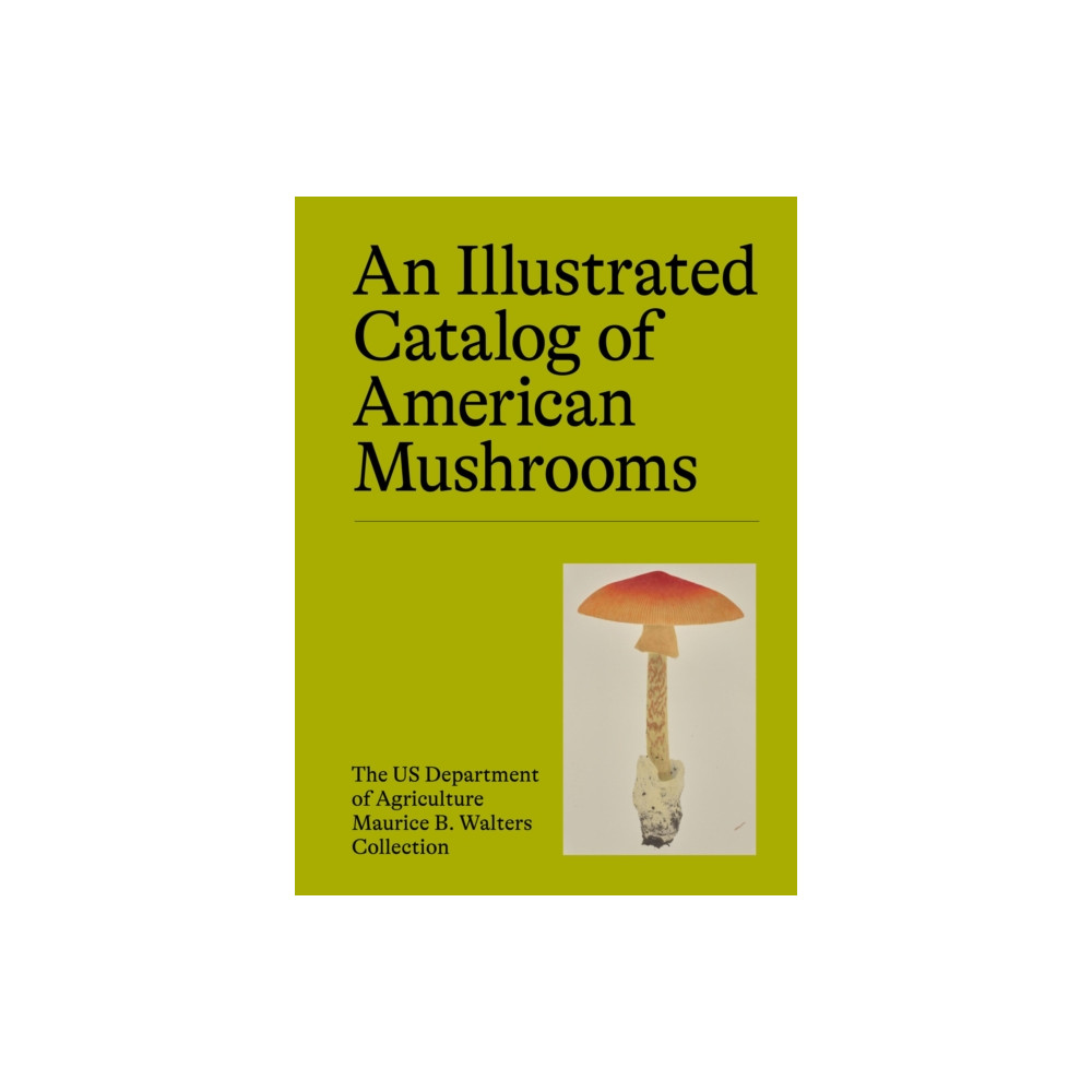 Produktbild för An Illustrated Catalog of American Mushrooms (inbunden, eng)