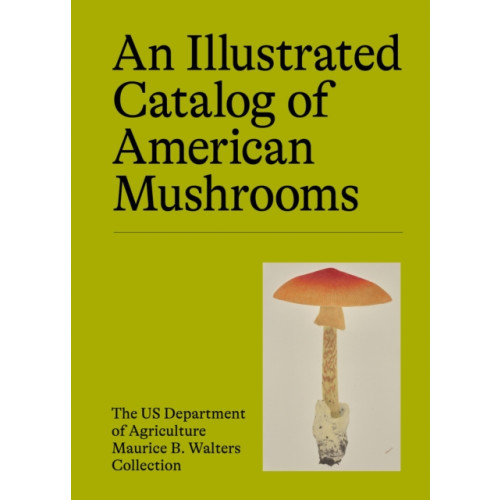 Union Square & Co. An Illustrated Catalog of American Mushrooms (inbunden, eng)