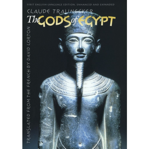 Cornell University Press The Gods of Egypt (häftad, eng)