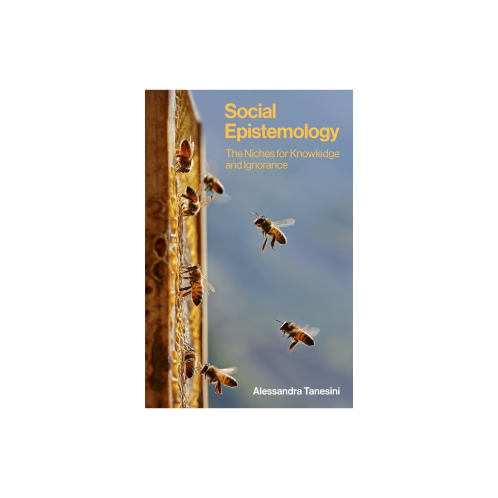 Produktbild för Social Epistemology (häftad, eng)