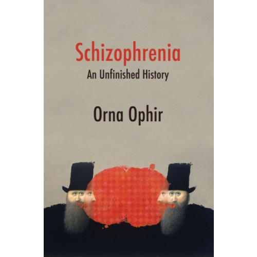 John Wiley And Sons Ltd Schizophrenia (häftad, eng)