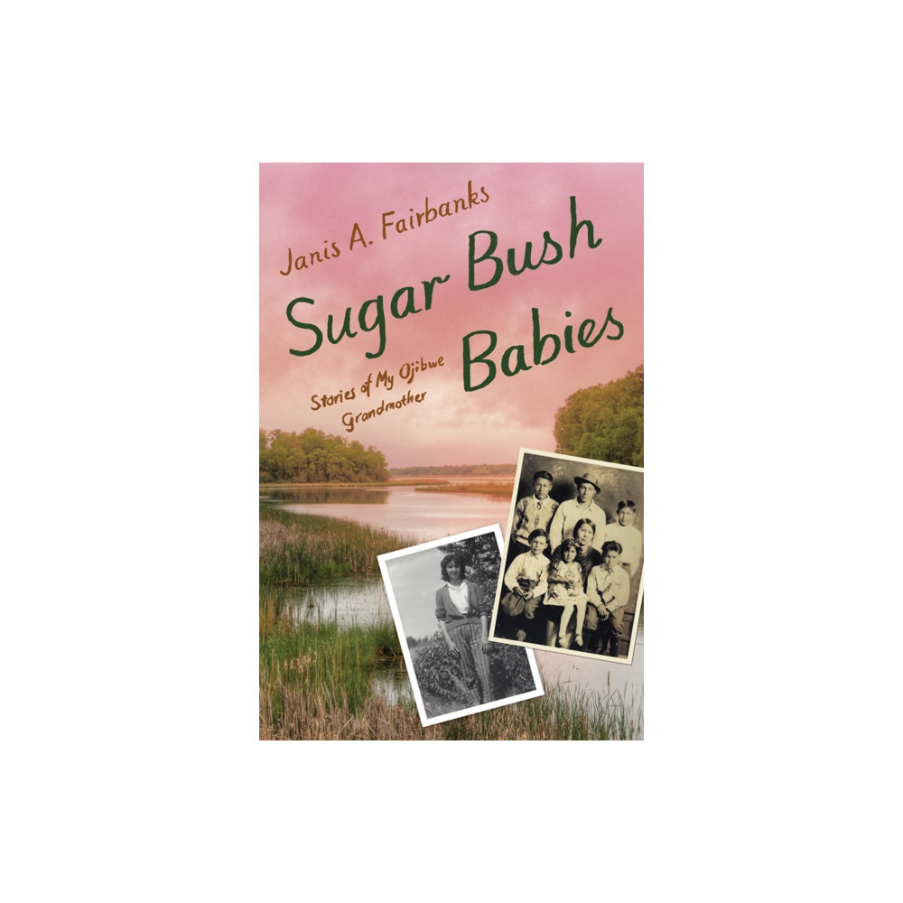 Produktbild för Sugar Bush Babies (inbunden, eng)