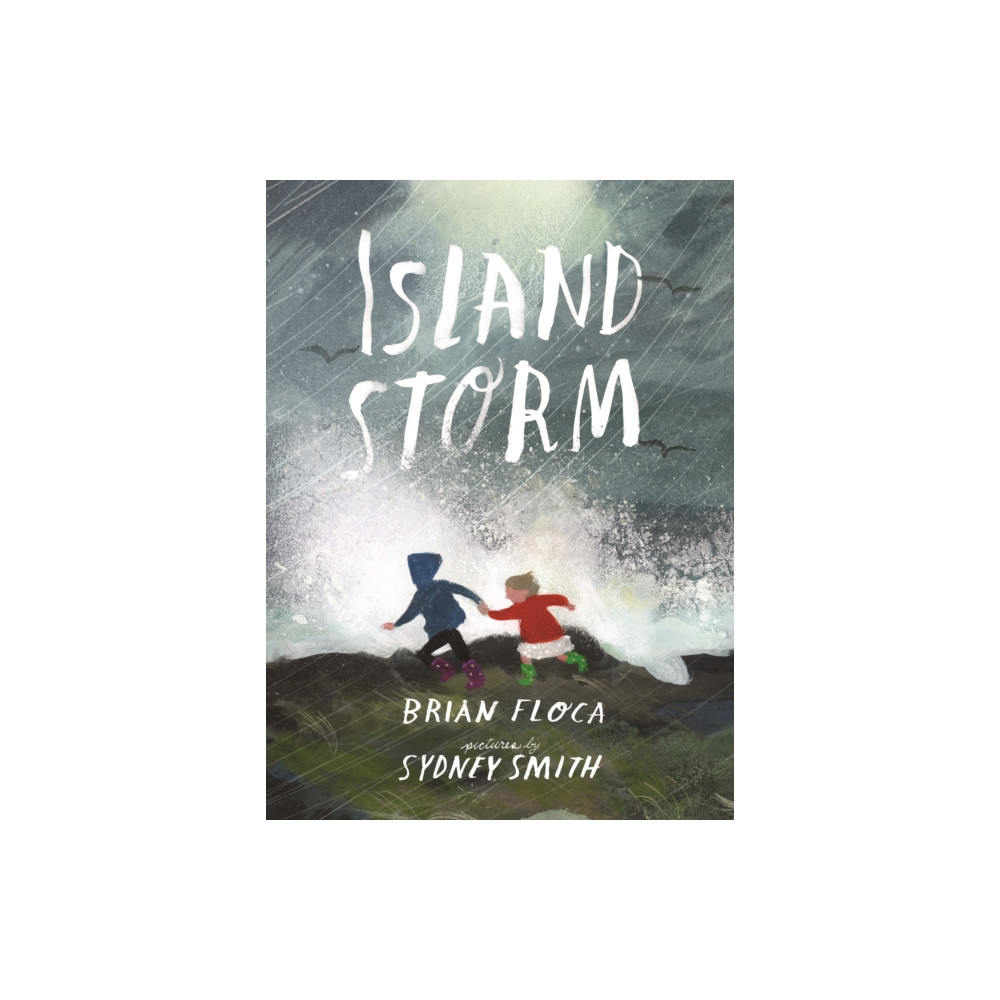 Produktbild för Island Storm (inbunden, eng)