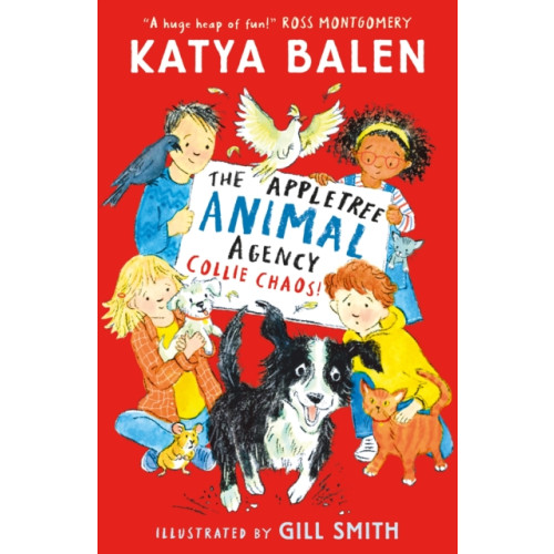 Walker Books Ltd The Appletree Animal Agency: Collie Chaos (häftad, eng)