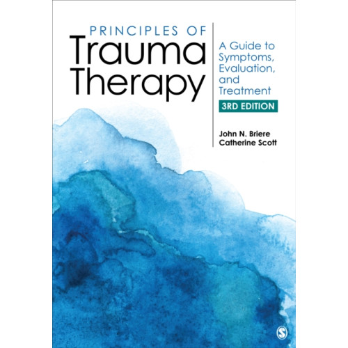 Sage publications inc Principles of Trauma Therapy (häftad, eng)