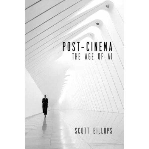 Michael Wiese Productions Post-Cinema (häftad, eng)