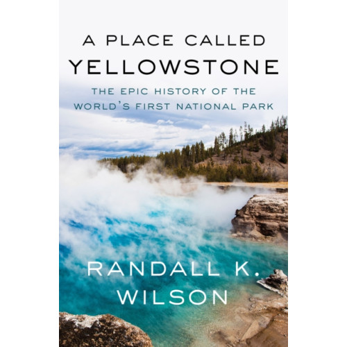 Counterpoint A Place Called Yellowstone (häftad, eng)