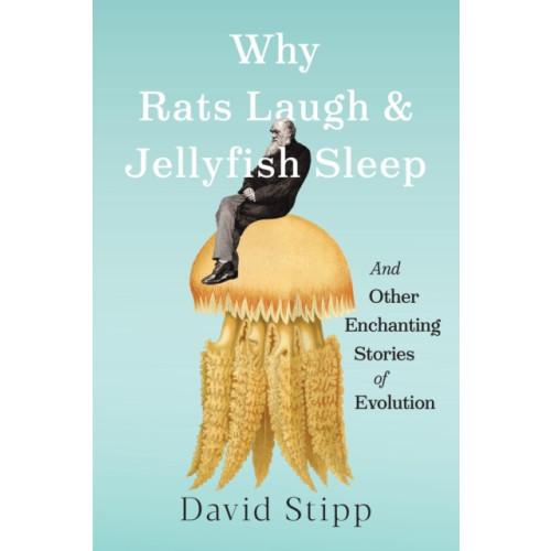 Workman Publishing Why Rats Laugh and Jellyfish Sleep (inbunden, eng)