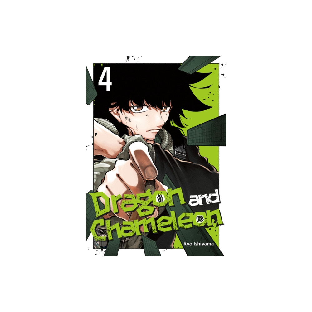 Produktbild för Dragon and Chameleon 04 (häftad, eng)