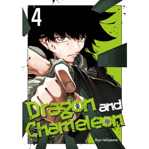 Square Enix Dragon and Chameleon 04 (häftad, eng)