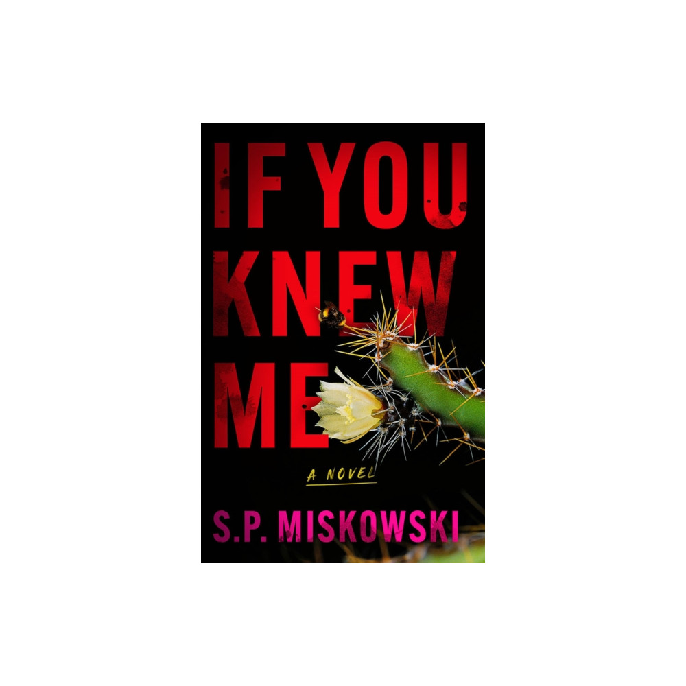 Produktbild för If You Knew Me (häftad, eng)