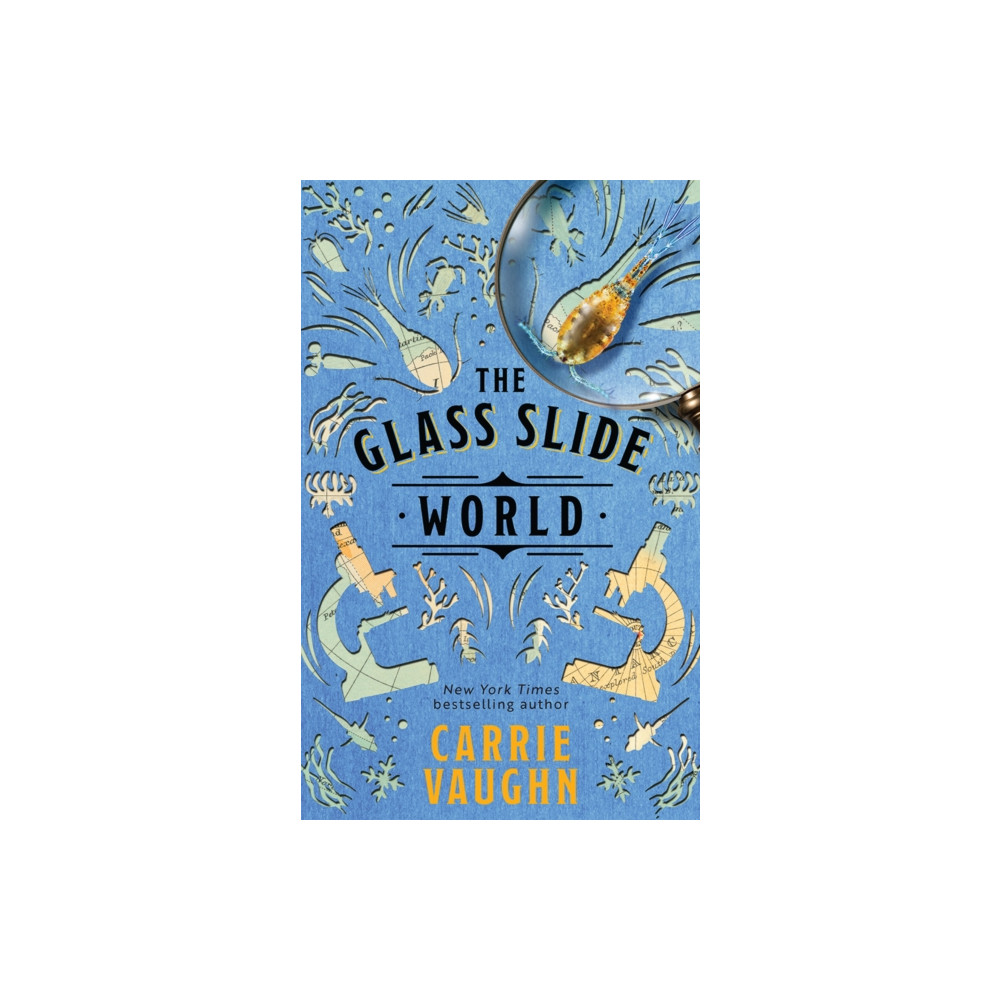 Produktbild för The Glass Slide World (häftad, eng)