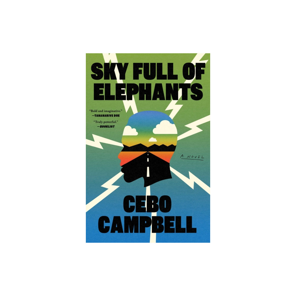 Produktbild för Sky Full of Elephants (häftad, eng)
