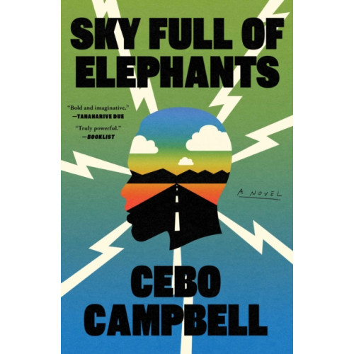 Simon & Schuster Sky Full of Elephants (häftad, eng)