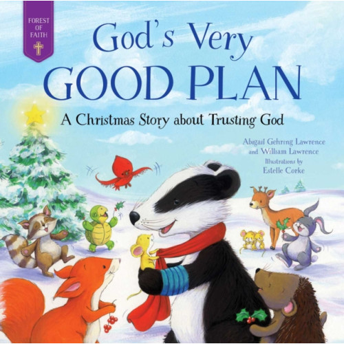 Skyhorse Publishing God's Very Good Plan (inbunden, eng)