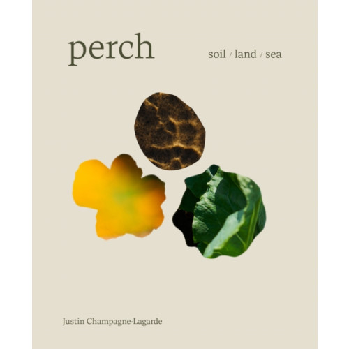 Figure 1 Publishing Perch (inbunden, eng)