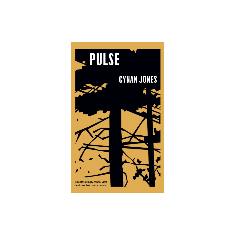 Produktbild för Pulse (inbunden, eng)