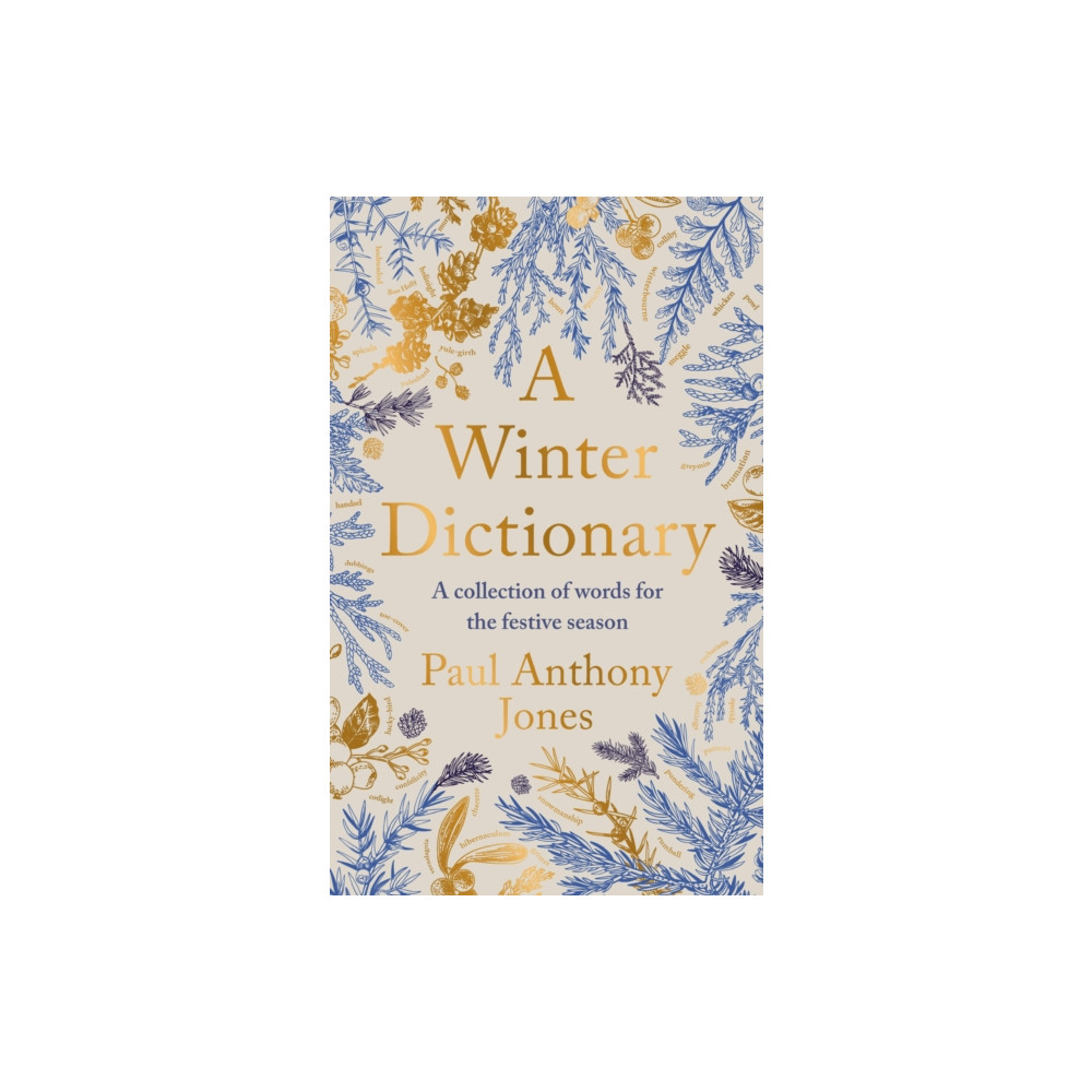 Produktbild för A Winter Dictionary (häftad, eng)