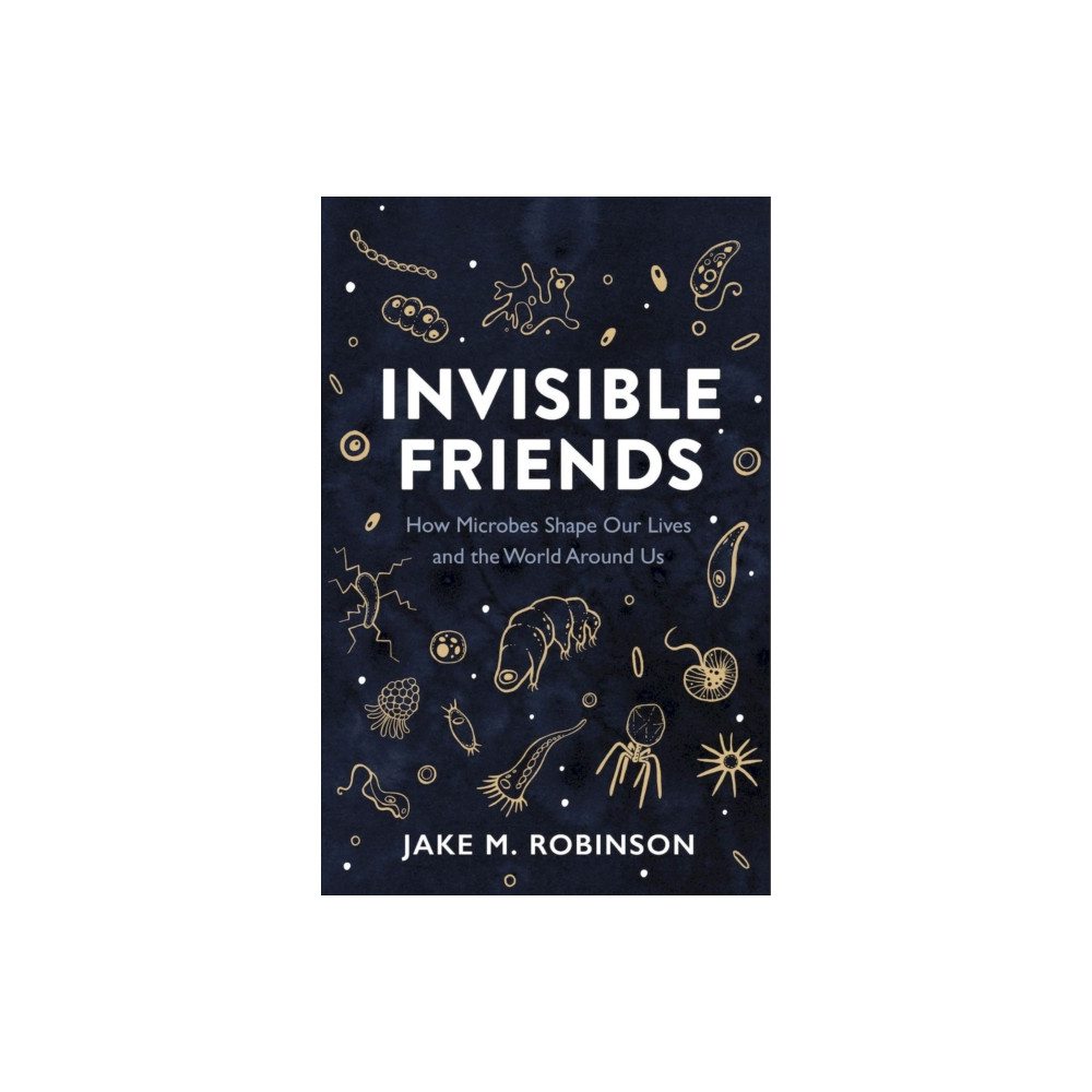 Produktbild för Invisible Friends (häftad, eng)