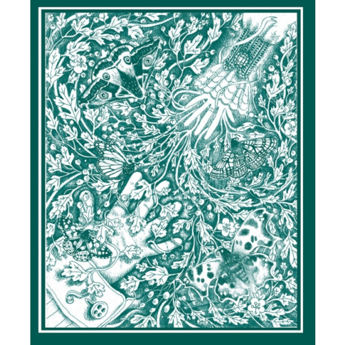O'Brien Press Ltd The Stolen Child (inbunden, eng)