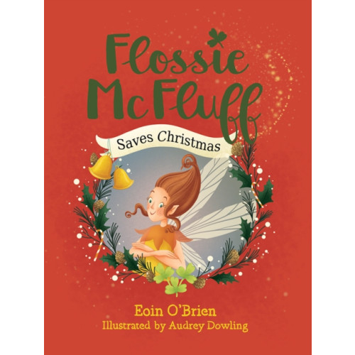 O'Brien Press Ltd Flossie McFluff Saves Christmas (häftad, eng)