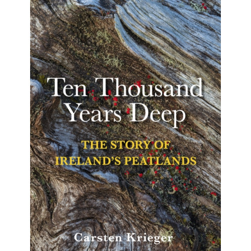 O'Brien Press Ltd Ten Thousand Years Deep (inbunden, eng)