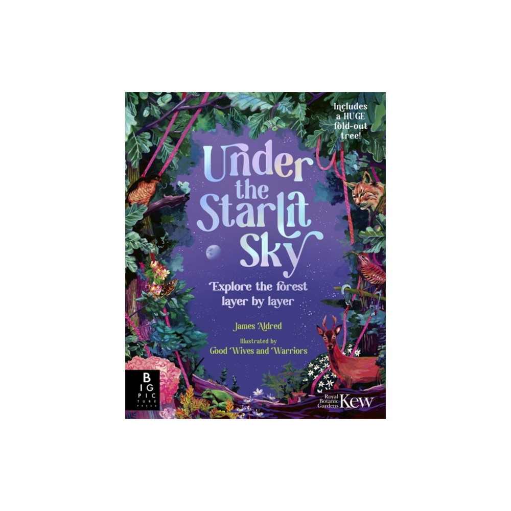 Produktbild för Under the Starlit Sky (inbunden, eng)