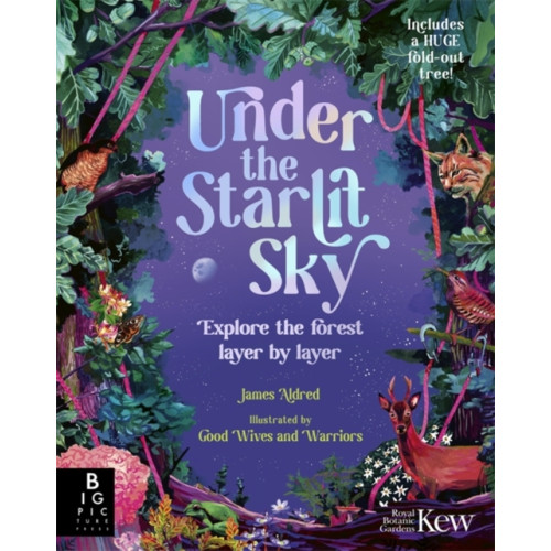 Templar Books Under the Starlit Sky (inbunden, eng)