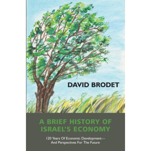 Vallentine mitchell & co ltd A Brief History of Israel’s Economy (inbunden, eng)
